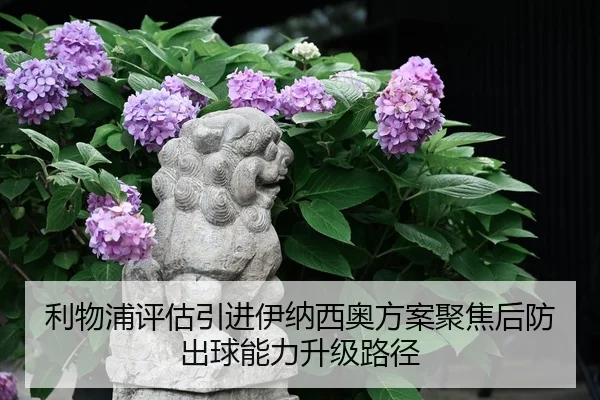 利物浦评估引进伊纳西奥方案聚焦后防出球能力升级路径